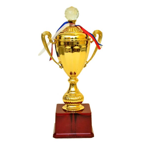 Golden Cup Trophy – M-539 - Image 1