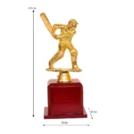 Cricket Special Golden Trophy – M-524 - Image 4