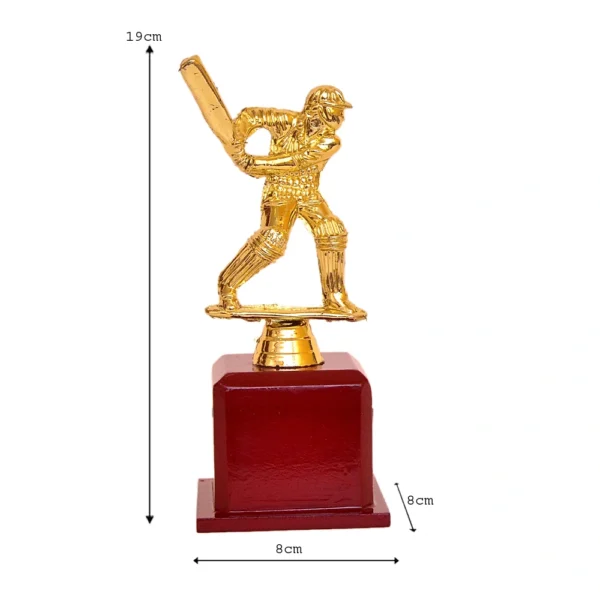 Cricket Special Golden Trophy – M-524 - Image 4