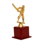 Cricket Special Golden Trophy – M-524 - Image 3