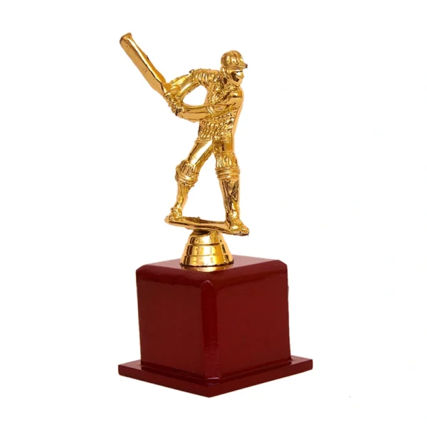 Cricket Special Golden Trophy – M-524 - Image 3
