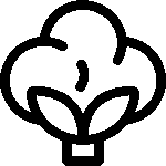 Cotton Garments